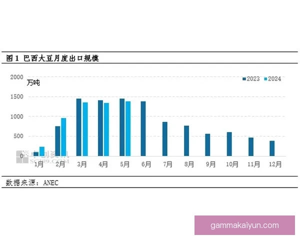 Vini 交易对转会市场的影响分析与趋势展望