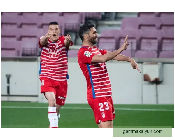 格拉纳达青训实力持续提升，年轻球员表现稳健