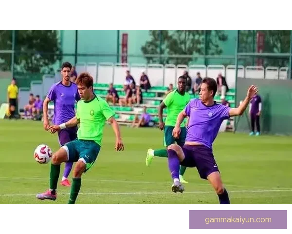 中国足球面临魔鬼赛程考验，密集赛程下球队状态与体能成关键